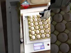 Impresora de inyección de tinta de huevo pequeña de eje Xy Impresora inteligente de inyección de tinta de huevo totalmente automática