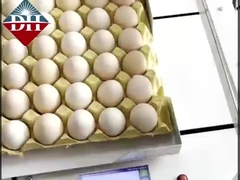 Impresora de inyección de tinta de huevo pequeña de eje Xy Impresora inteligente de inyección de tinta de huevo totalmente automática